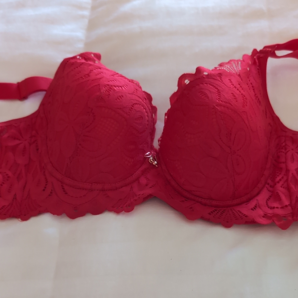 Red Lace Underwire Bra